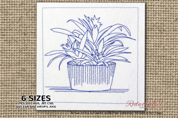 Leo Plants: A Designer’s Review for Handmade Gifts