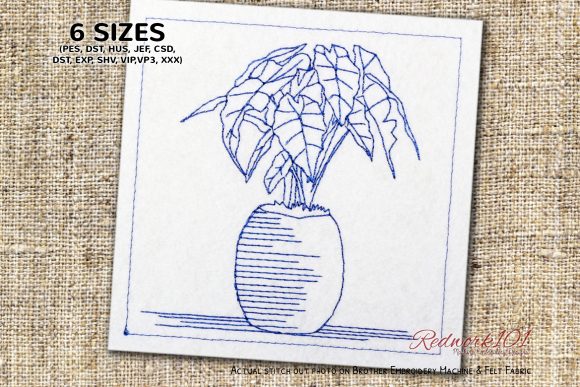 Sagittarius Plants: A Designer’s Review for Boutique Sweatshirts